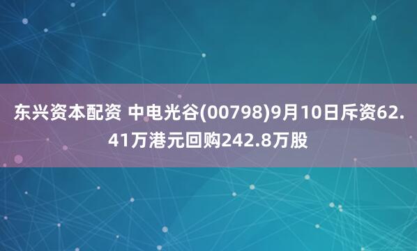 东兴资本配资 中电光谷(00798)9月10日斥资62.41万港元回购242.8万股