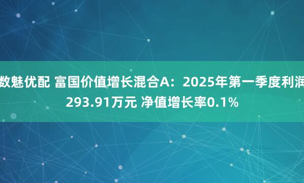 数魅优配 富国价值增长混合A：2025年第一季度利润293.91万元 净值增长率0.1%