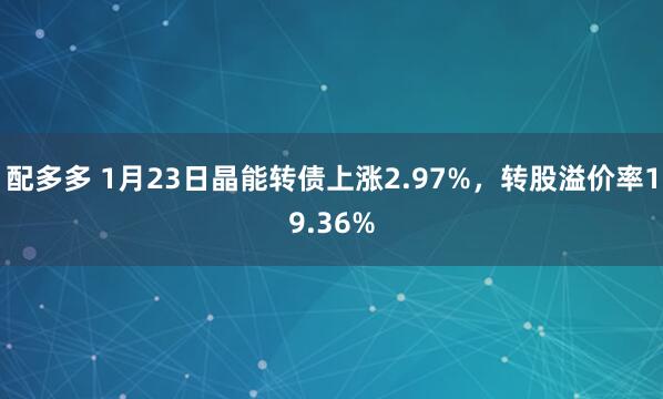 配多多 1月23日晶能转债上涨2.97%，转股溢价率19.36%