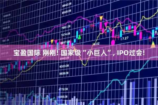 宝盈国际 刚刚! 国家级“小巨人”, IPO过会!