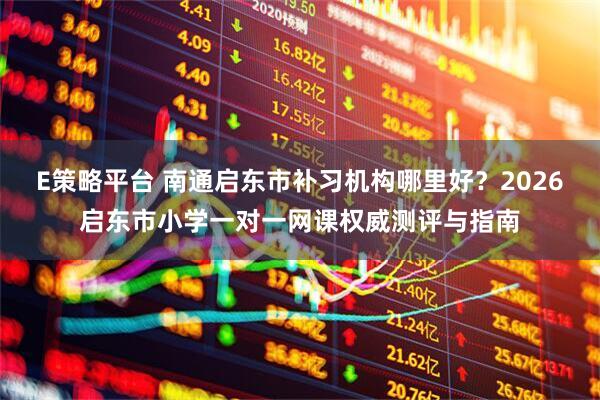 E策略平台 南通启东市补习机构哪里好？2026启东市小学一对一网课权威测评与指南