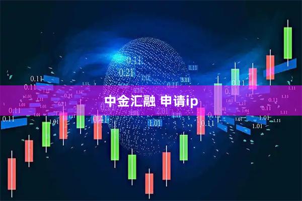 中金汇融 申请ip